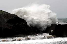 Typhoon kills eight, causes flooding, landslides across Japan