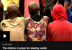 Video: ‘Madagascar children spend 3 years in prison without trial for stealing vanilla’