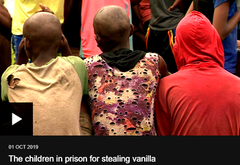 Video: ‘Madagascar children spend 3 years in prison without trial for stealing vanilla’