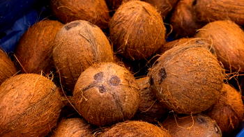 Coconut: Fear of seizure hinders production — Lagos Gov.