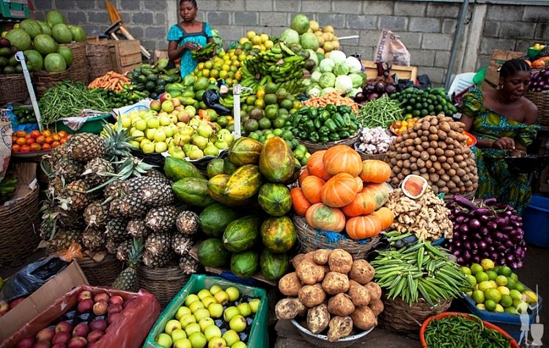 Food security: Lagos sets to launch 5yr agricultural devt roadmap