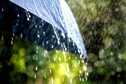 Spiritual healers in Kaduna rush to get drop of ‘first rain’, say it has cleansing powers