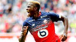 How Nigerian forward Osimhen adapted to life in Lille