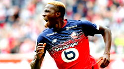 Osimhen bags Lille POTM, after impressive goalscoring form