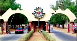 Sexual harassment: MAUTECH Yola sacks 2 lecturers, Deputy Registrar for fraud