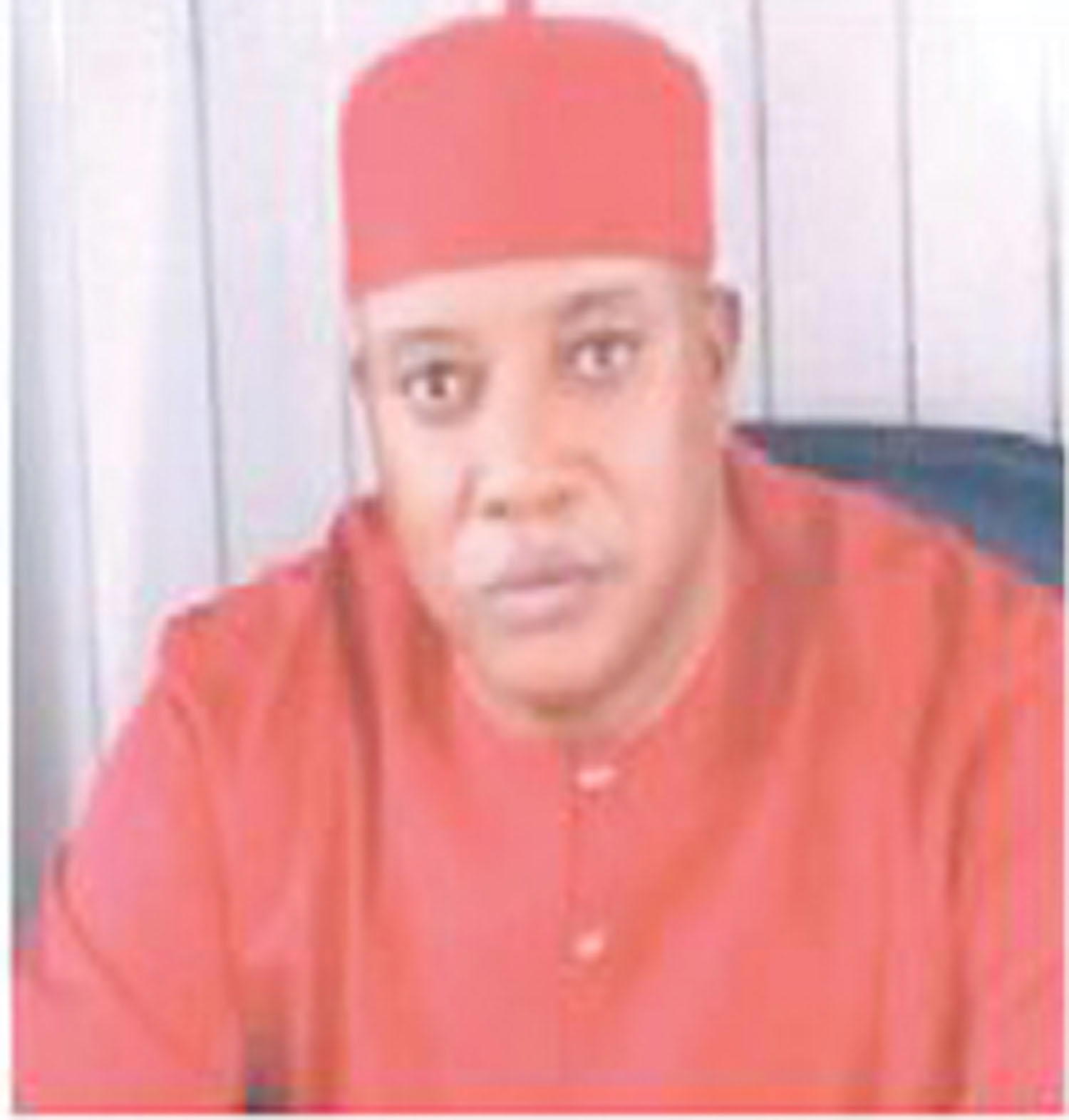 TOTAL BORDER CLOSURE: Nigerians’re caged – Nnadiekwe, Car dealers’ association boss