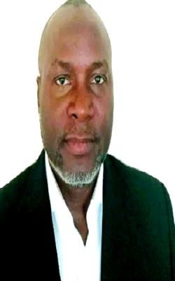 Post-Buhari visit: Why many returnees won’t go back to S/Africa — Okoli, leader of Nigerian community