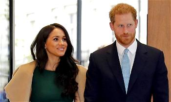 Harry and Meghan book lifts lid on bitter split with family