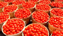 Rising cost of tomato: Households adopt weird alternatives to make stew