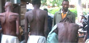 11 inmates rescued in another torture home in Zaria