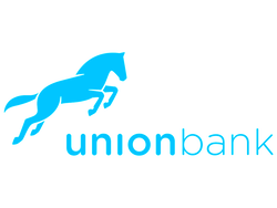 Union Bank grows earnings by 8.9% to N175bn
