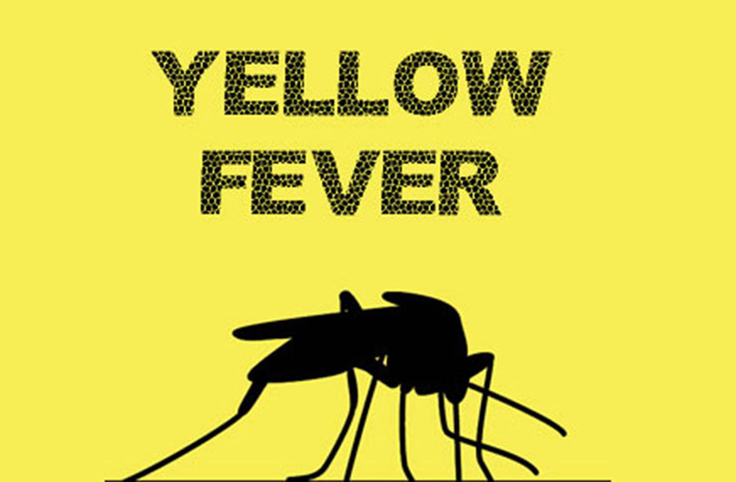 Nigeria: Yellow fever suspected cases hit 1,558 in 8 states