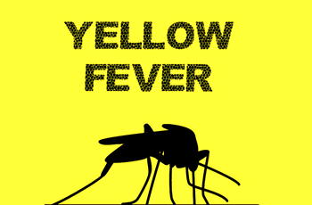 Yellow fever: Enugu targets additional 710,149 residents for vaccination 