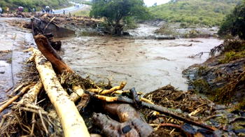 Kenya landslide: At least 24 killed after heavy rains