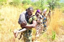 Army intensifies efforts to arrest Shekau