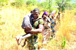 Army intensifies efforts to arrest Shekau