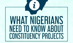 Constituency project monitoring team