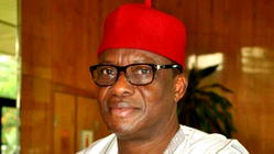 Border: Senate investigates alleged killings by Customs