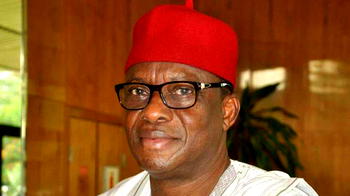 Border: Senate investigates alleged killings by Customs