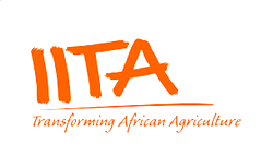 IITA: Caravan researcher says findings will help stakeholders improve food security in Nigeria
