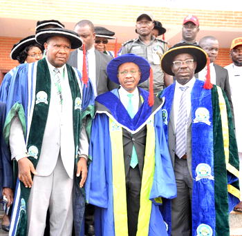 Edo can generate 200,000 jobs from palm oil ― Emefiele