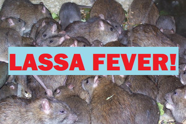 BREAKING: Lassa fever  spreads to Lagos