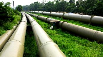 Breaking: 50 arrested over alleged destruction of pipeline in Imo