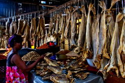 FG warns against use of dangerous chemical for stockfish preservation