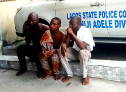 I sold two human skulls for N12,000 ― Suspect reveals