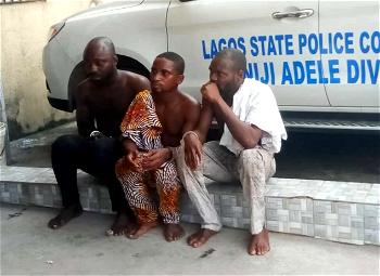 I sold two human skulls for N12,000 ― Suspect reveals