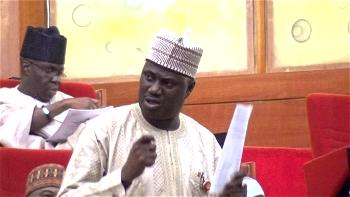 Hate Speech Bill remedy to religious, ethnic persecution – Senator Sabi