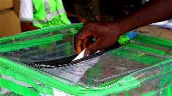 Edo election: Carry people with disabilities along — CCD