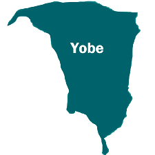 2027: Group pushes for zoning of Yobe gov’ship ticket to Zone C
