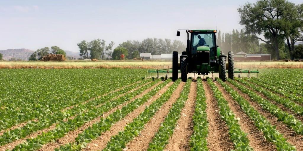 agriculture Nigeria, powerhouse for African agro-industrialisation – IFAD