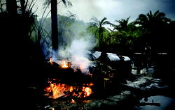 BURNING OF CRUDE OIL: Waterborne diseases hit Delta oil communities