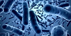 WAHO seeks establishment of consolidated community approach for early detection of diseases