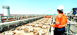 FG seeks increased women participation in oil industry