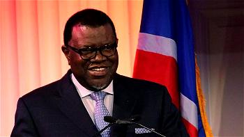 Namibian leader Geingob takes big lead in presidential election