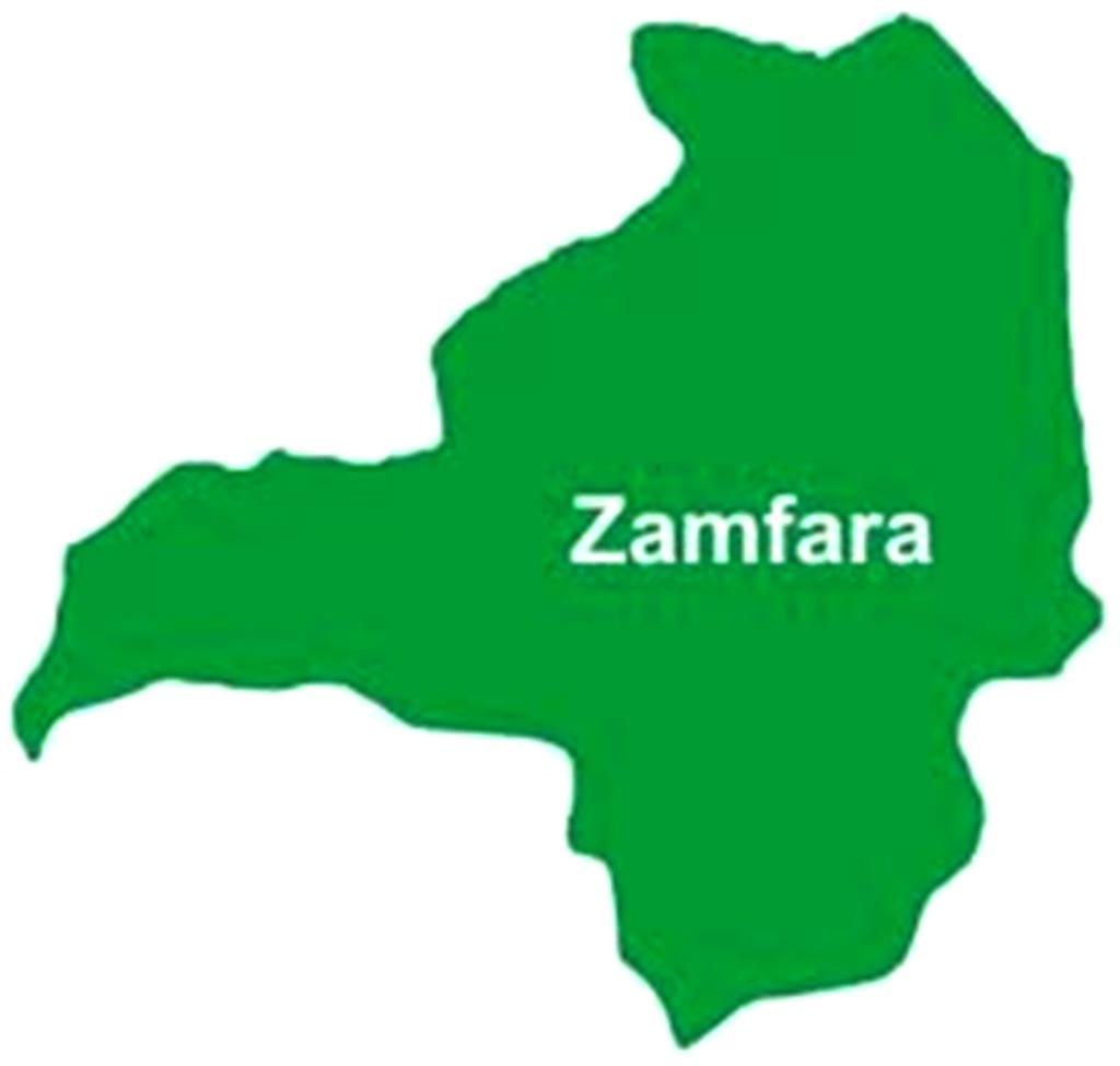 APC links banditry in Zamfara to retired General