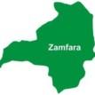 12 Zamfara kidnap victims including College Chief Security Officer rescued – CP