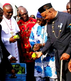 Governor Emmanuel’s agric initiatives etching A’Ibom towards food sufficiency