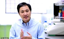 Chinese court sentences ‘gene-editing’ scientist to three years in prison