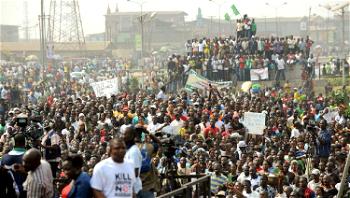 Be wary of ’emergency activists’, group charges Nigerians