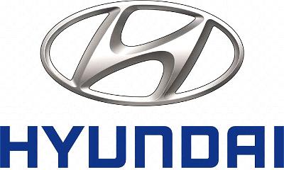 Hyundai, Electric Motor