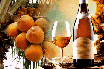 Eight die in Philippines after drinking coconut wine
