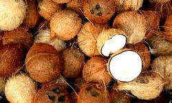 Lagos to increase coconut value chain to N350bn — Olusanya