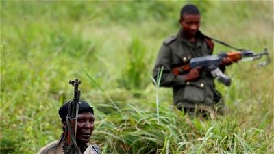 DR Congo's Virunga National Park hit by deadliest attack