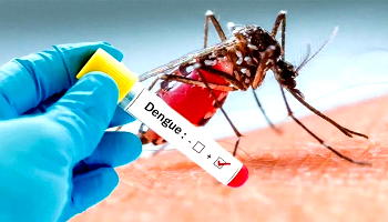 Dengue fever death toll surges to 123 across Myanmar