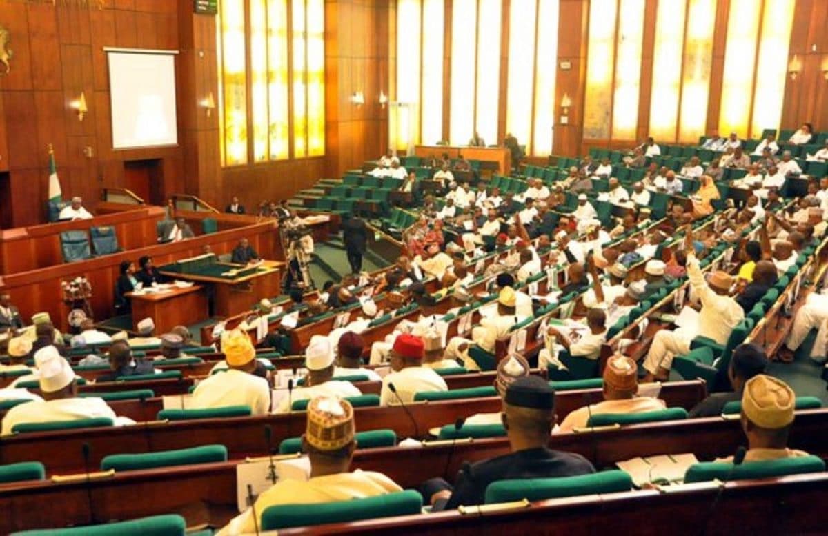 Reps accuse minister of spending N20m on sanitary pads, N45m on New Year party