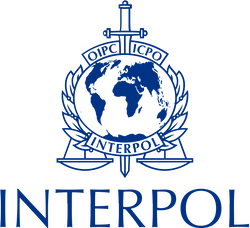 Interpol extends specialized communication platform to EFCC